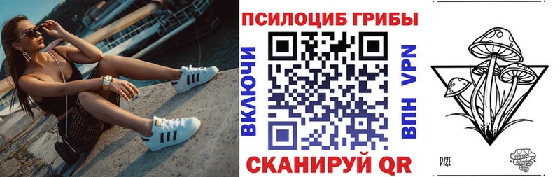 где найти   Краснодар  Галлюциногенные грибы прущие грибы 